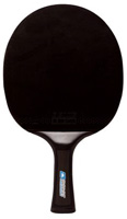 Donic Schildkrot Carbotec 100